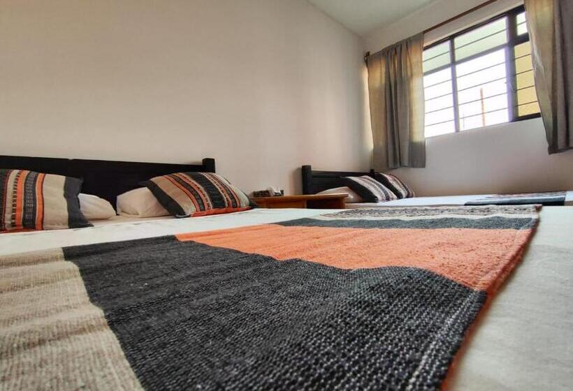 膳宿费 Hostal Chocolate Calenda