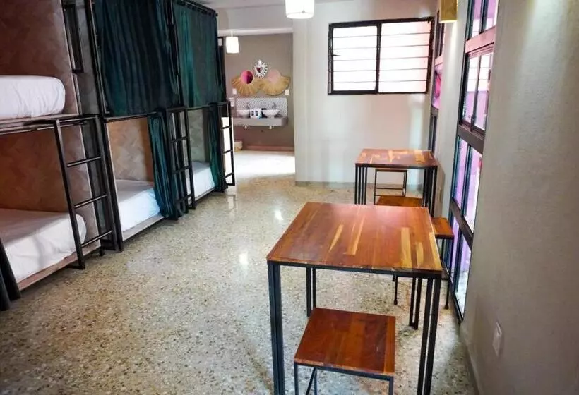 پانسیون Hostal Chocolate Calenda