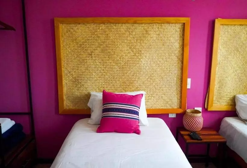 پانسیون Hostal Chocolate Calenda