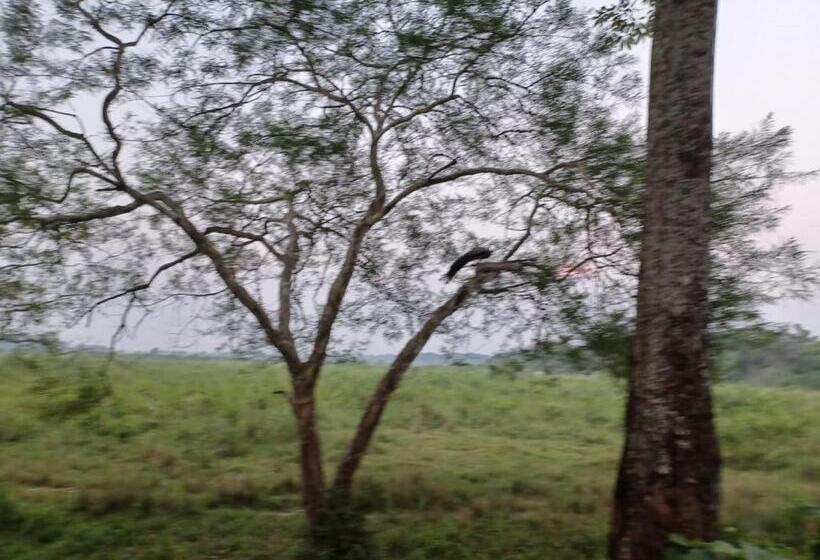 Dooars Velley Home Stay