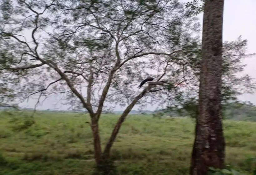 Dooars Velley Home Stay