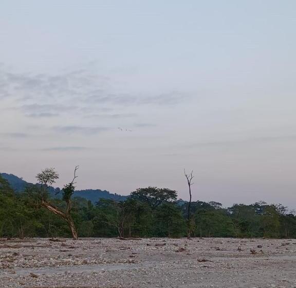 Dooars Velley Home Stay