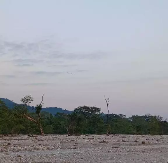 Dooars Velley Home Stay