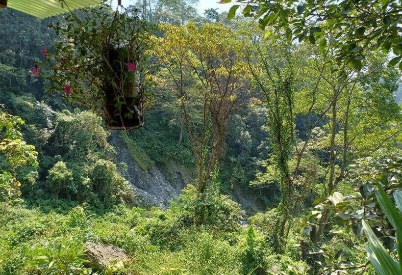 Dooars Velley Home Stay