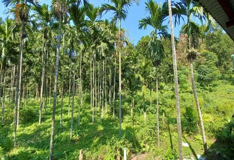 Dooars Velley Home Stay