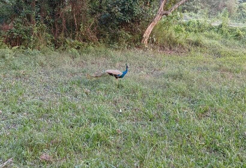 Dooars Velley Home Stay