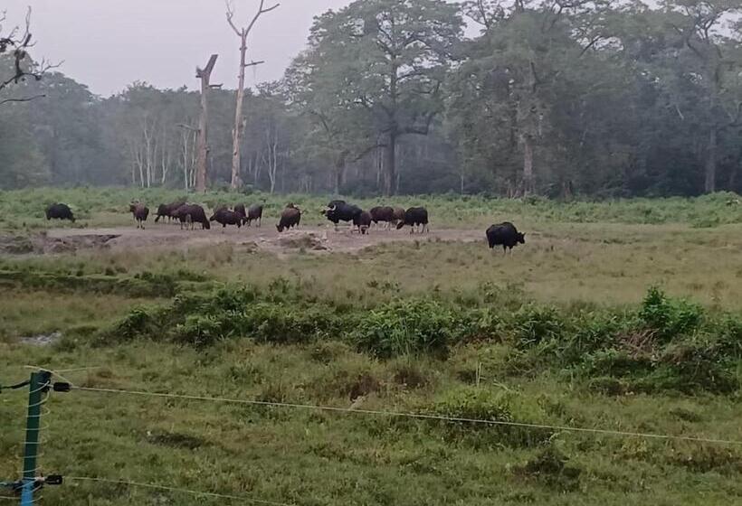 Dooars Velley Home Stay