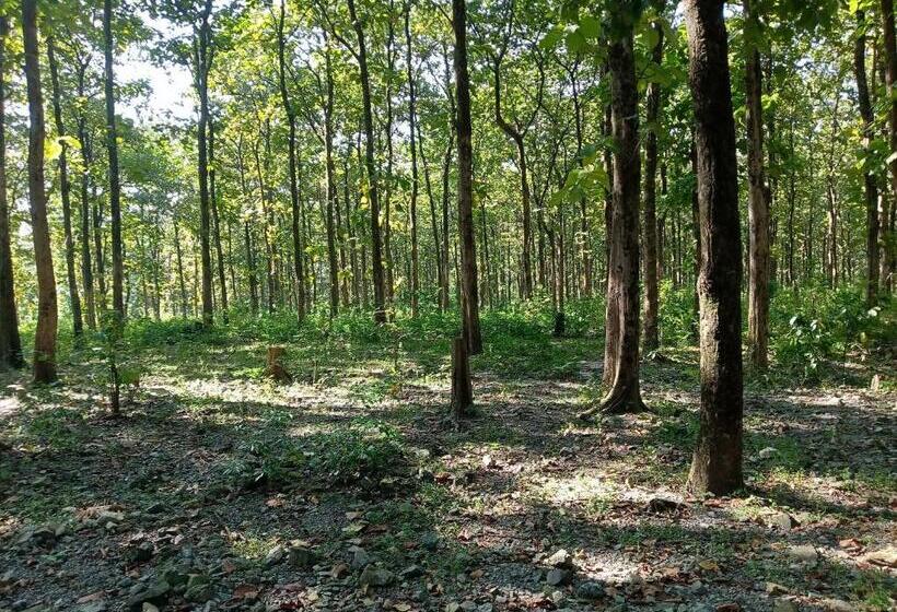 Dooars Velley Home Stay