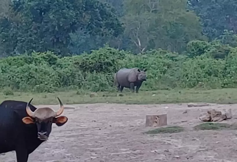 Dooars Velley Home Stay