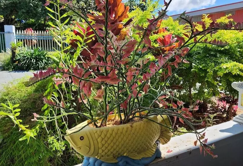 Majatalo Pacific Paradise Villa