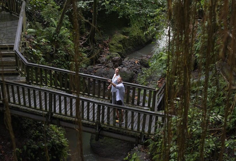 酒店 Inara Alas Harum