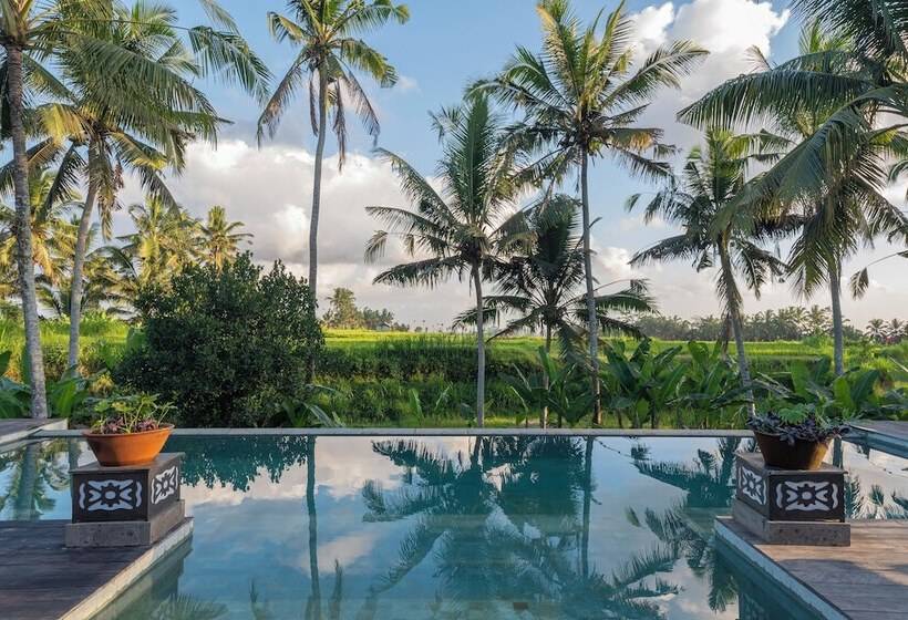 酒店 Inara Alas Harum