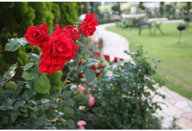 ホテル Sunlife Garden Vacation Stay 55394v