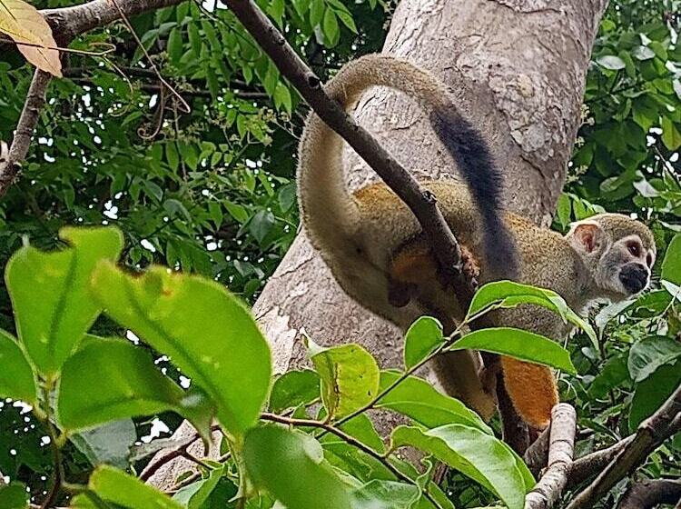 هاستل Leticias Guest House