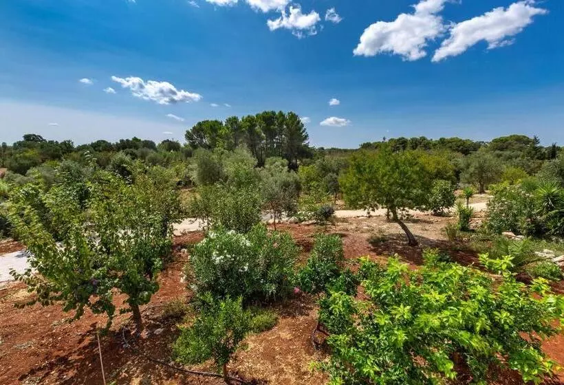 Majatalo I Trulli Di Mavisa By Perle Di Puglia