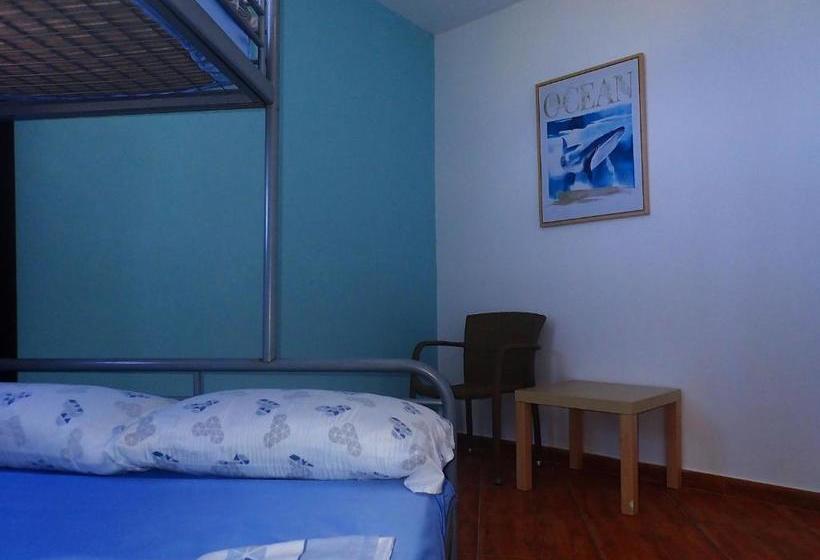 Retkeilymaja Dive Resort Ocean Dreams