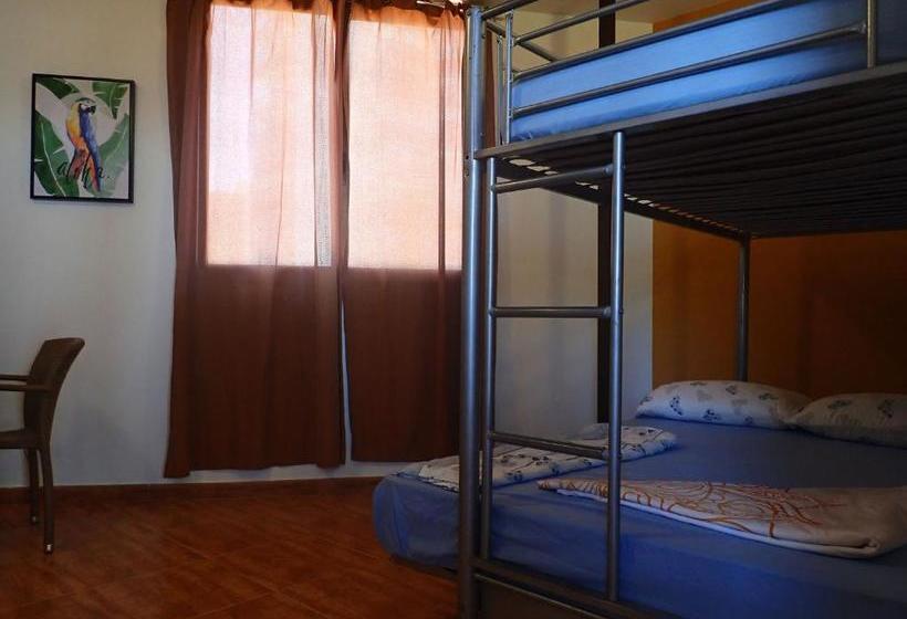 Retkeilymaja Dive Resort Ocean Dreams