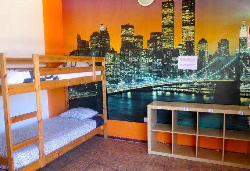 Retkeilymaja Dive Resort Ocean Dreams