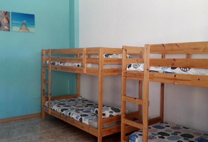 Retkeilymaja Dive Resort Ocean Dreams