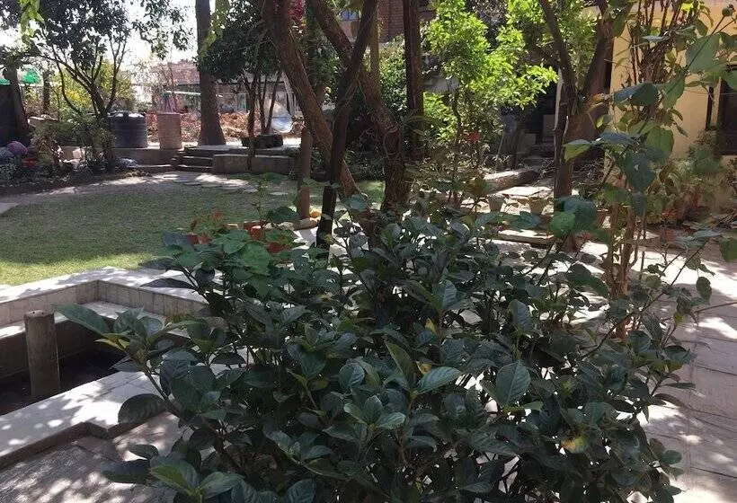 تختخواب و صبحانه Krishna House