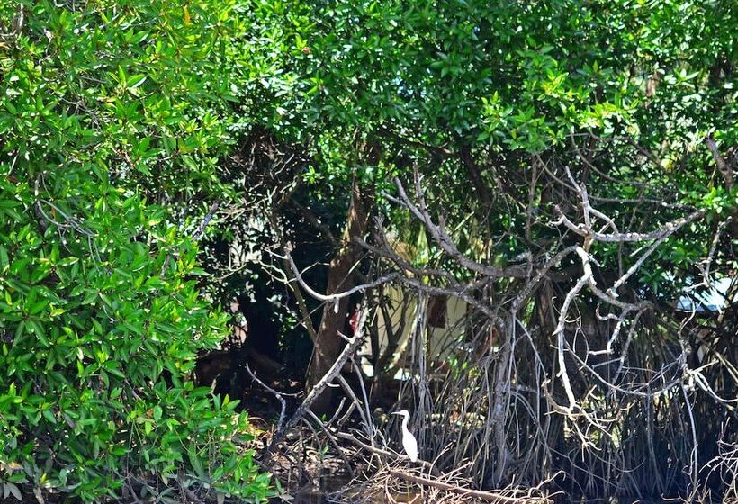 צימר Mihin Villa