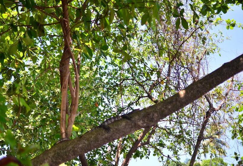 צימר Mihin Villa