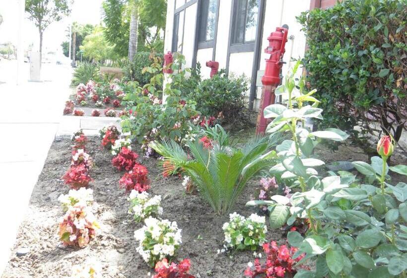 Executive Suites Inn