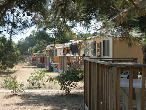 ホテル Arena Stupice Camping Homes