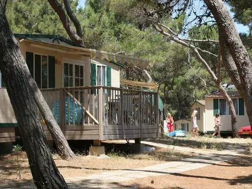 ホテル Arena Stupice Camping Homes