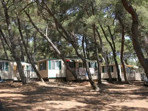 ホテル Arena Stupice Camping Homes