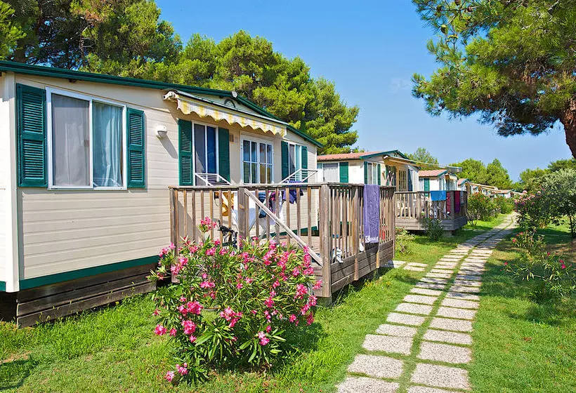 ホテル Arena Stupice Camping Homes