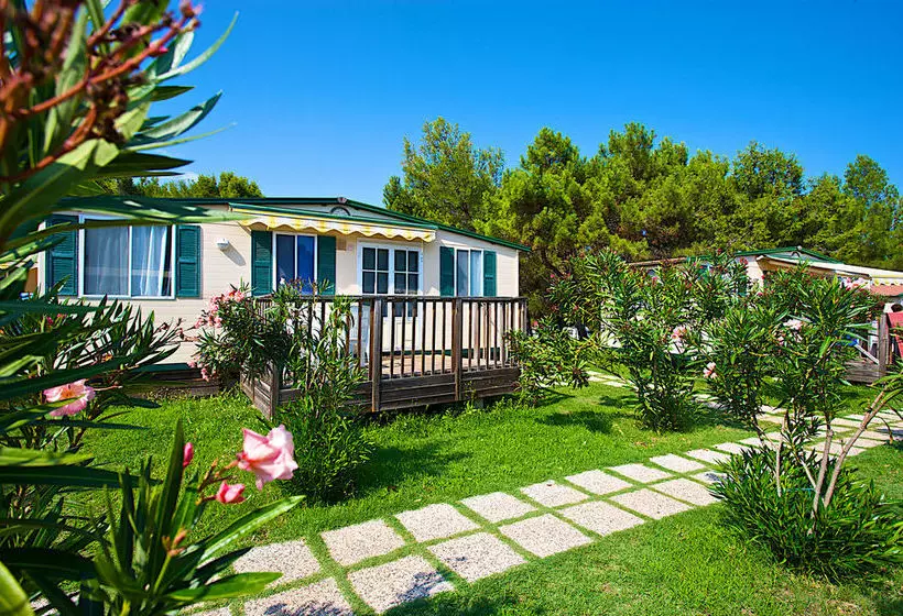 ホテル Arena Stupice Camping Homes
