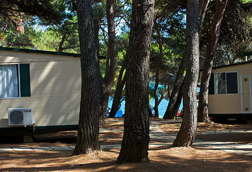 ホテル Arena Stupice Camping Homes