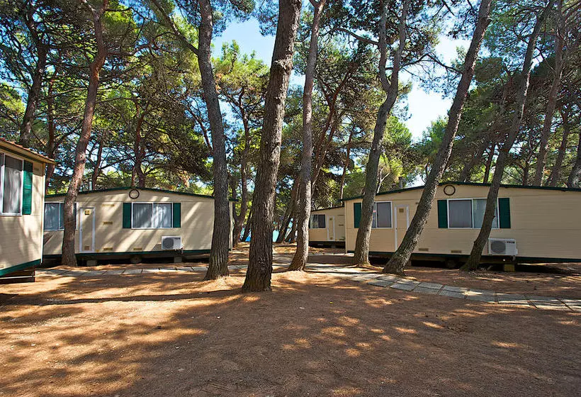 ホテル Arena Stupice Camping Homes