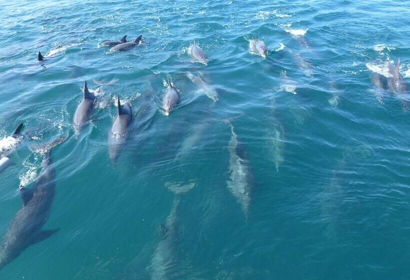 Hotel Obama Onsen Hamakan