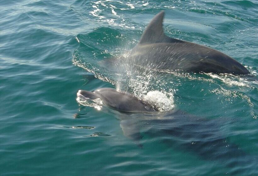 Hotel Obama Onsen Hamakan