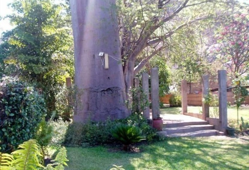 酒店 Nkhudzi Beach Lodge