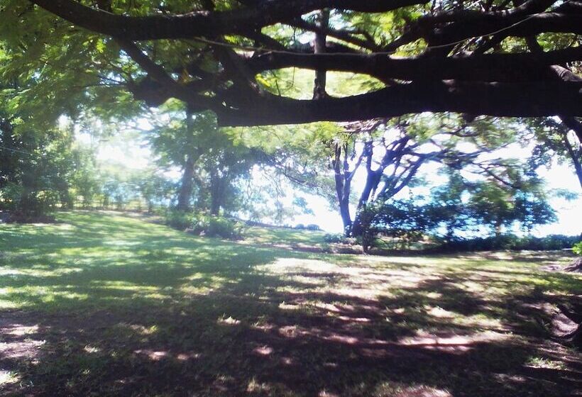 酒店 Nkhudzi Beach Lodge