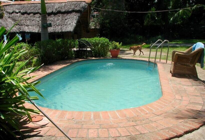 酒店 Nkhudzi Beach Lodge