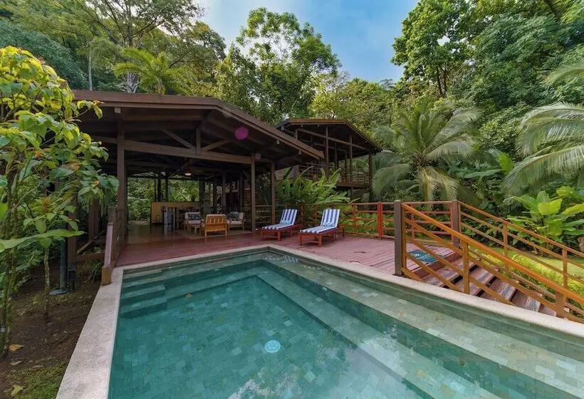 ホテル Playa Cativo Lodge