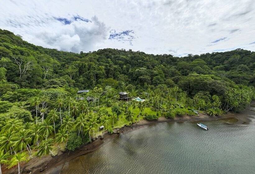 فندق Playa Cativo Lodge