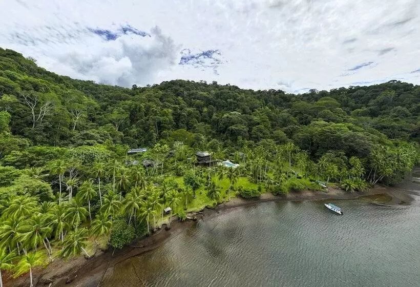 ホテル Playa Cativo Lodge