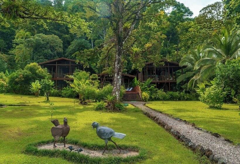 فندق Playa Cativo Lodge