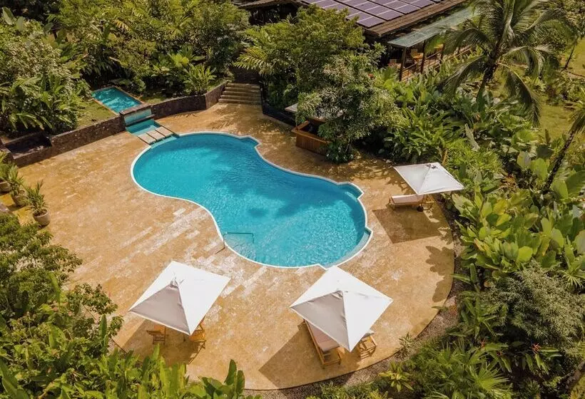 ホテル Playa Cativo Lodge
