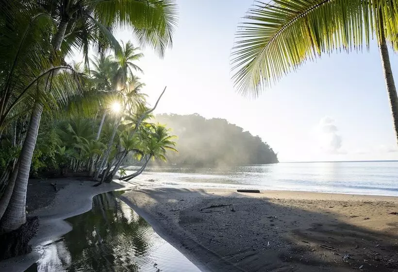 ホテル Playa Cativo Lodge