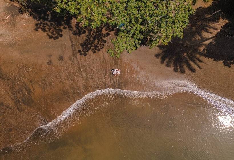 فندق Playa Cativo Lodge