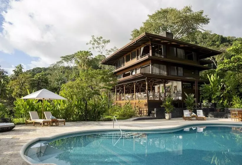 ホテル Playa Cativo Lodge