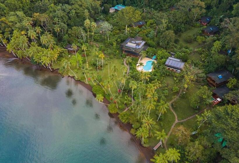 فندق Playa Cativo Lodge