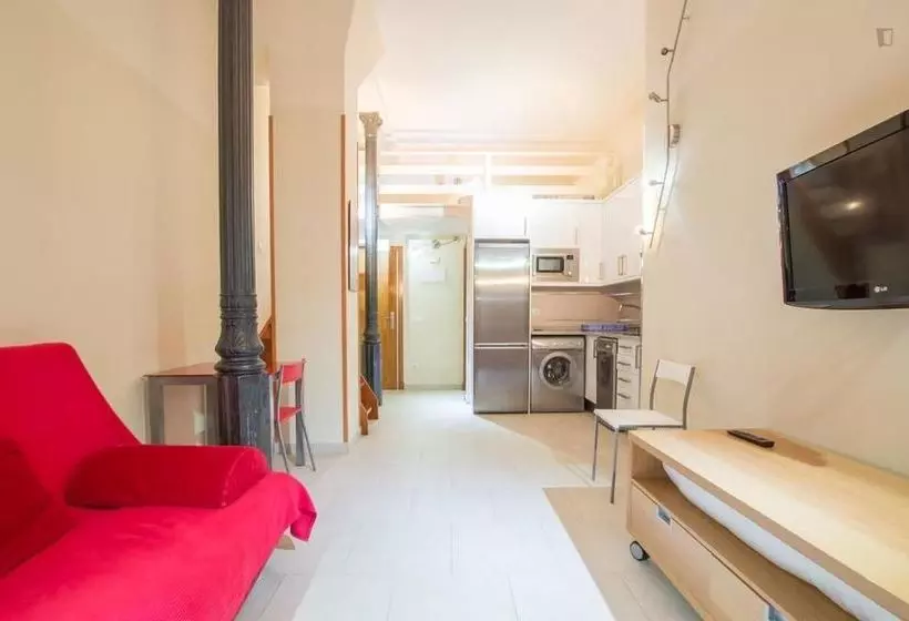 Apartamentos Puzzle Madrid Sol