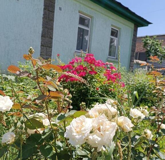 تختخواب و صبحانه Yurt Stay In Downtown